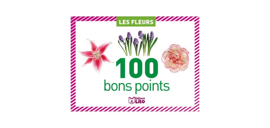 Bon point editions lito les fleurs 61x82mm boite 100      unites