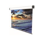 Sopar Electric Professional projection screen 4.24 m (167") 1:1