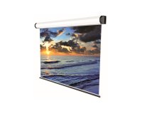 Sopar Electric Professional projection screen 4.24 m (167") 1:1