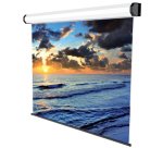 Sopar Electric Professional projection screen 3.61 m (142") 1:1