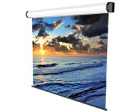 Sopar Electric Professional projection screen 3.61 m (142") 1:1
