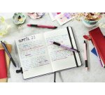 Stylo-bille stabilo pointball wild flowers 3200m d'ecriture trait 0,5mm retractable grip  antiderapant mauve glycine