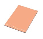 Pigna 02298901R writing notebook A4 20 sheets Multicolour