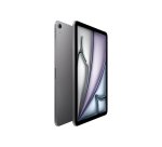 Apple iPad Air Apple M 256 Go 27,9 cm (11") 8 Go Wi-Fi 6E (802.11ax) iPadOS 17 Gris
