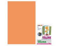 CWR 05312 art paper 24 sheets