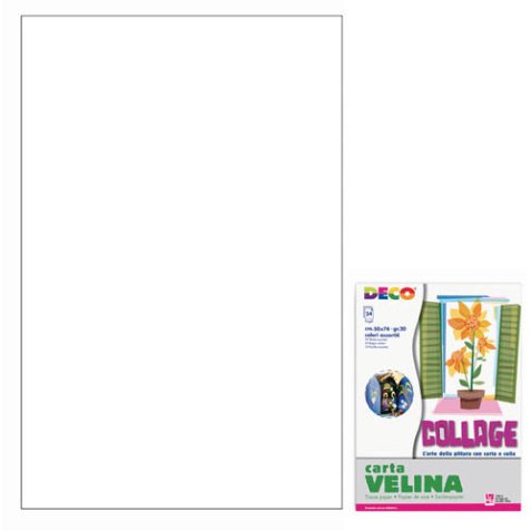 CWR 05310 carta da disegno Foglio d'arte 24 fogli