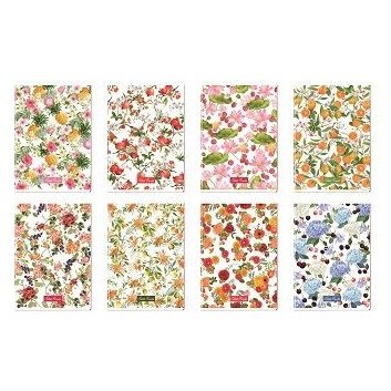 Blasetti 6738 writing notebook A4 21 sheets Multicolour