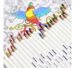 Primo 523MINAB24 colour pencil Multicolour 24 pc(s)