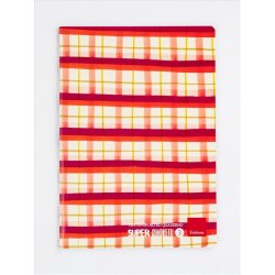 Erickson Super quadretti 3 writing notebook A4 76 sheets Multicolour
