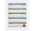 Erickson Super righe 1 quaderno per scrivere A4 76 fogli Multicolore