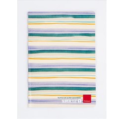 Erickson Super righe 1 writing notebook A4 76 sheets Multicolour