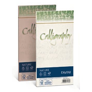 Favini Nature Calligraphy busta DL (110 x 220 mm) Grigio 25 pz