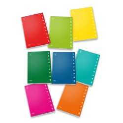 Pigna 02298870Q writing notebook A4 42 sheets Multicolour