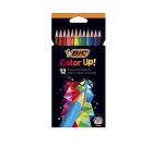 Crayons couleur bic intensity up corps triangulaire pack de 12
