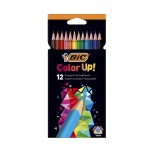 Crayons couleur bic intensity up corps triangulaire pack de 12