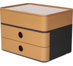 Module de classement SMART-BOX plus ALLISON
