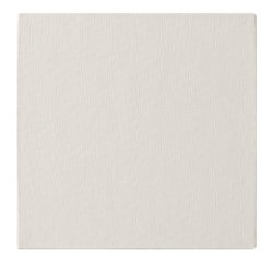 Prêt à peindre carton toilé 20x20cm 3mm - Blanc