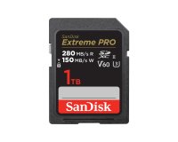 SanDisk SDSDXEP-1T00-GN4IN mémoire flash 1 To SDXC UHS-II Classe 10