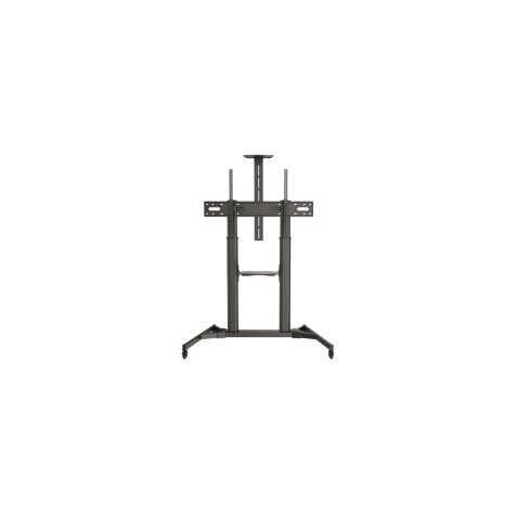 Soporte para monitor 2,54 m (100") Piso Negro