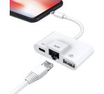 DLH DY-TU4034W câble Lightning Blanc