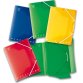 Pigna 02196633L folder Multicolour