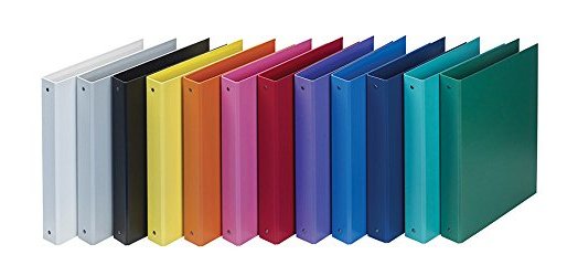 Favorit 100460392 raccoglitore ad anelli A5 Blu