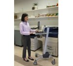 Ergotron Neo-Flex Laptop Cart Grigio Computer portatile Carrello/trolley multimediale