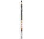 Crayon de couleur Barbie, étui en carton de 12