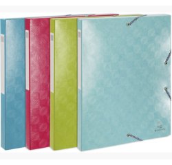 Boite de classement carte lustrée gaufrée pelliculée 1928 - dos de 40mm - A4 - Couleurs assorties