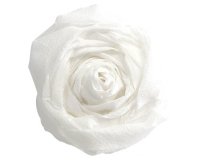 PAPIER CRÉPON, Paquet de 10 feuilles pliées 60% au format 2,50x0,50m - Blanc