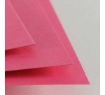 Canson Colorline 50x70 Foglio d'arte 25 fogli