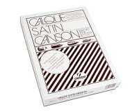 Canson C200017109 carta da disegno Lucido 500 fogli
