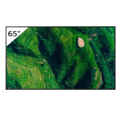 Sony BRAVIA FW-65BZ35P 65” High brightness 500 nit 4K HDR professional display with Deep Black Non-Glare Standard and IP5X dust resistance