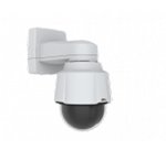 Axis 01758-001 telecamera di sorveglianza Cupola Telecamera di sicurezza IP Esterno 1280 x 720 Pixel Soffitto/muro