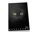 Pigna Monocromo writing notebook A4 19 sheets Black