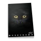 Pigna Monocromo writing notebook A4 19 sheets Black