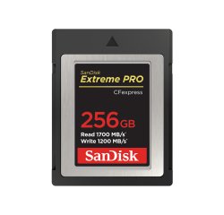 SanDisk SDCFE-256G-GN4NN mémoire flash 256 Go CFexpress