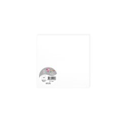 Carte visite clairefontaine pollen 160x160mm coloris blanc étui 25 unités