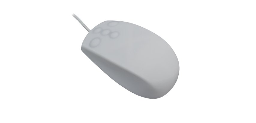 MCL MP2B99AZZZZSS269W souris Universel Ambidextre USB Type-A + PS/2 Optique 800 DPI