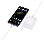 Intenso 7313522 batteria portatile Polimeri di litio (LiPo) 5000 mAh Bianco
