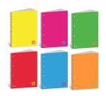 Blasetti 7752 quaderno per scrivere A4+ 60 fogli Colori assortiti