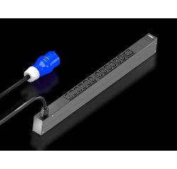 Rittal 7979.110 unità di distribuzione dell'energia (PDU) 13 presa(e) AC 0U Nero
