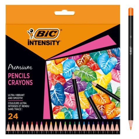 Etui de 24 crayons de couleur Intensity.. Couleurs miscibles assorties.
