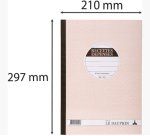 Manifold autocopiant 297X210 Recettes Dépenses 50 dupli - Avoine