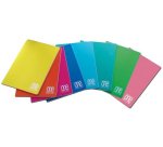 Blasetti One Color writing notebook A4 21 sheets Multicolour