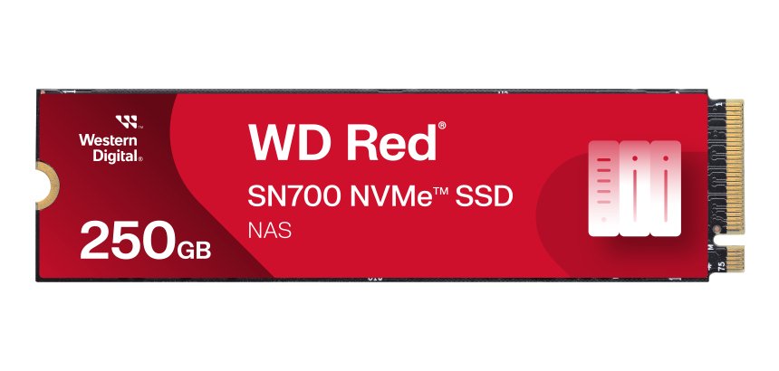 SanDisk Red WD SN700 NVMe 250 Go M.2 PCI Express 3.0