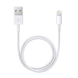 Câble lightning 50 cm - Câble de données / charge pour iPad / iPhone / iPod