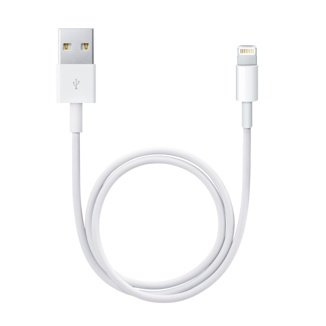 Câble lightning 50 cm - Câble de données / charge pour iPad / iPhone / iPod