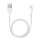 Apple Lightning-Kabel - Lightning / USB - 50 cm