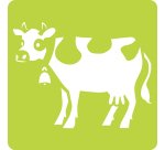 Set de 6 pochoirs enfants, Animaux de la ferme - Orange